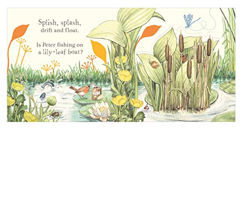Where is Peter Rabbit?: Lift the Flap Book