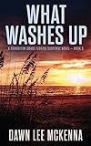 What Washes Up (The Forgotten Coast Florida Suspense Series)