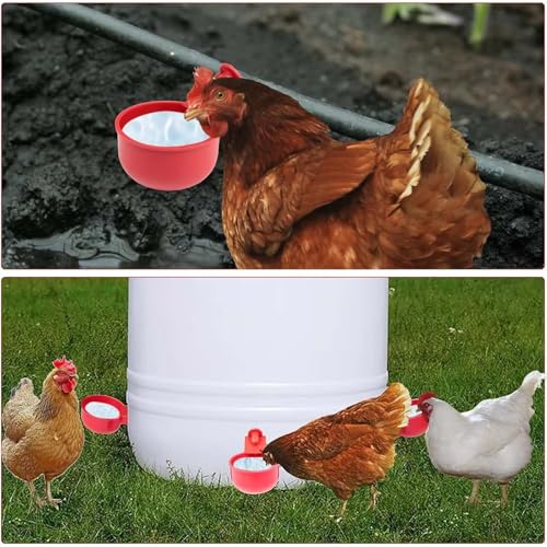 Image of Poultry Feeder and Drinker, Chicken Feeder and Drinker, Auto Refill Water System, 8-Piece Set, Durable Poultry Farm Equipment for Chicken and Duck (Birds Water Feeder)