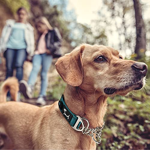 PETTOM Hundehalsband, Zugstopp Halsband Hunde mit Sicherheitsschloss, Halsband Breit Verstellbar und Reflektierend für Große Mittlere und Kleine Hunde