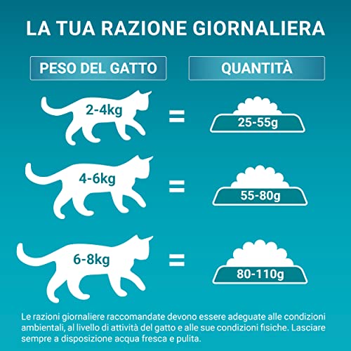 PURINA ONE Bifensis Indoor Formula Trockenfutter für Erwachsene Katzen mit Truthahn und Vollkorngetreide, 9,75 kg Sack – Ansicht 5