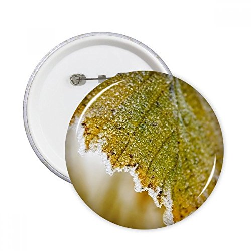 Plante Feuille badge pour vêtement nature lors de vos balades urbaines