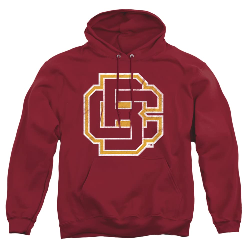 LOGOVISION Official Collegiate Distressed Primary Logo Adult Pullover Hoodie Collection — view 53