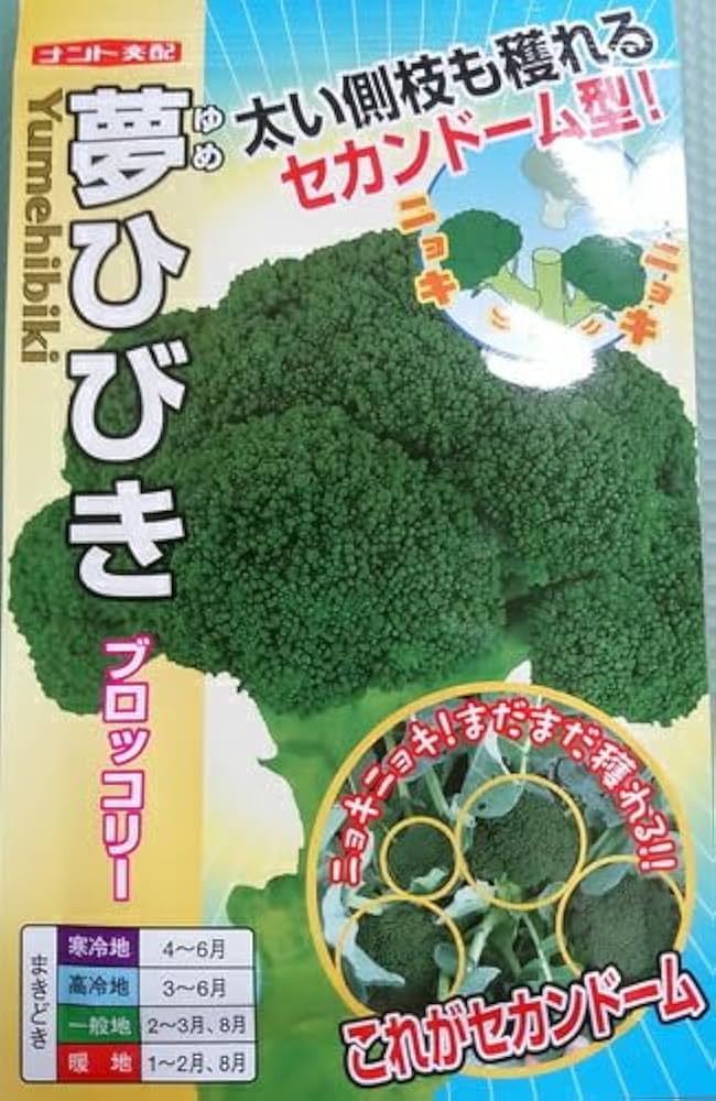 夢ひびき ブロッコリー種子 20ml 夢ひびき ブロッコリー種子 20ml