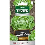 Tézier