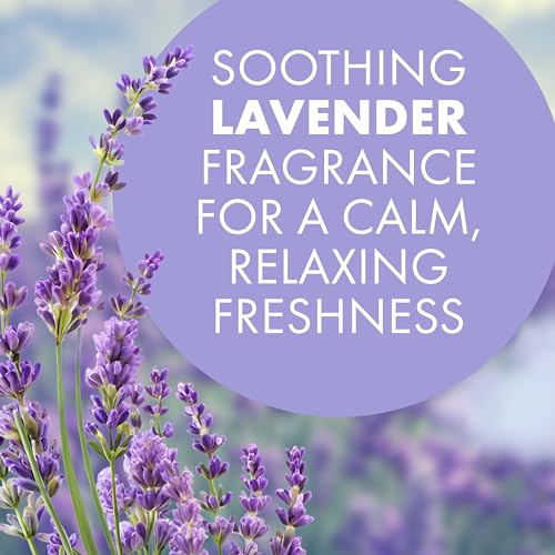 Arm & Hammer OdorBusterz ShapeMATE™, Lavender Flower, 4 Count – Decorative Odor Eliminator for Small Spaces - image 5
