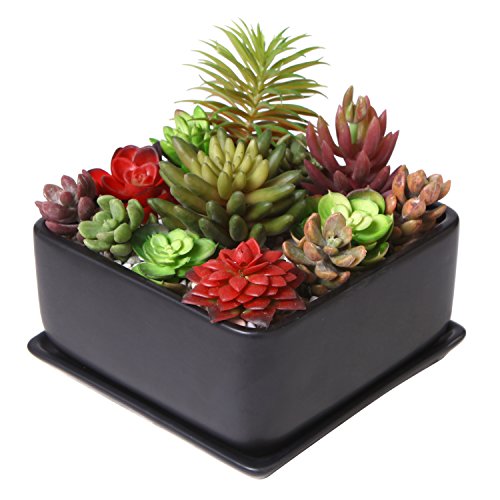 Modern 7 inch Square Ceramic Succulent Planter Pot with Drainage Tray, Window Box