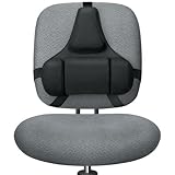 Fellowes 8037601 Back Support,Adjustable,Memory Foam,15-Inch x2-Inch x14-1/2-Inch ,Black