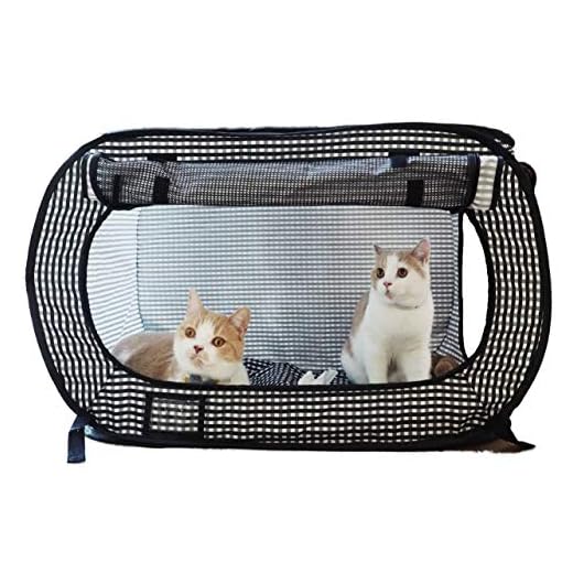 Portable Cat Travel Carrier for Adventures