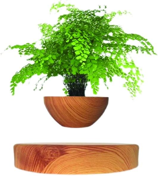 Planting Flower pots,Levitating Plant Pot,Magnetic levitation,Floating Plant Pot,Floating Plant,Hanging Flower pots,Suspendded Flowerpot,Hanging planters for Indoor Plants