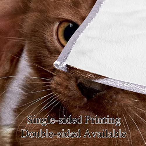 Couverture en peluche chats pour couple en microfibre douce TBOUOBT - 5