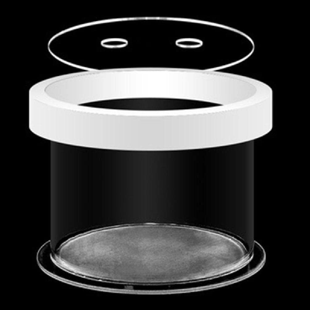 Incubateur d'isolement petit format pour poisson pour aquarium et élevage de crevettes