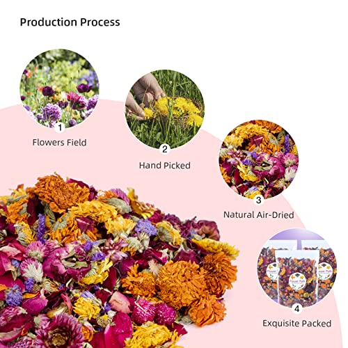 Image of Niteangel Natural & Soft Hamster Bedding Mate Small Animal Habitat Decor for Syrian Dwarf Hamsters Gerbils Mice Degus Bunny or Other Small-Sized Pet (Flowers Scent Path)