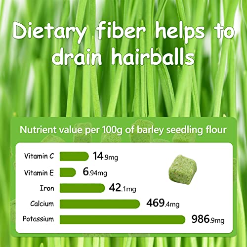Havenfly Katzengras Snack,120g Gefriergetrocknet Snacks für Katzen für die Zahnpflege und Haarknäuel Entfernen, Katzenminze