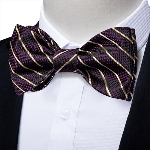 Pajarita clásica a rayas para hombre con set de pañuelo y gemelos miniatura 2