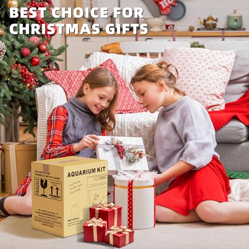 Kits para iniciantes de aquário de vidro de 6 litros, aquário de mesa Betta com filtro e luz para be