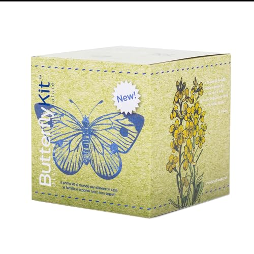 ButterflyKit, el kit para criar en casa las mariposas de la colilla mayor – Experimento educativo, kit educativo científico para niños, ideas de regalo para niños y niñas, cumpleaños, (kit con cupón)