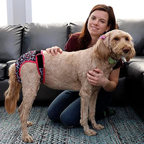 Couches pour chien réutilisables ultra absorbantes XL - 7
