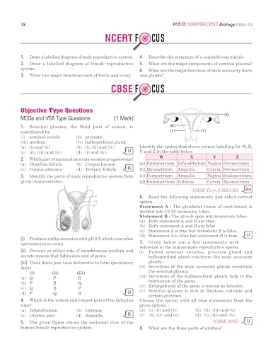 Image of MTG 100 Percent NCERT & CBSE Biology Class 12 For 2026-27 Exam | As Per Revised NCERT Textbooks Syllabus | Theory, Concept Map, MCQs, Practice Paper & Exam Drill Available All in One Book