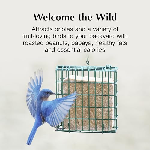 Image of C&S Oriole Delight No Melt Suet Dough, Suet Cakes for Wild Birds Including Orioles and More, 11.75 Ounces, Pack of 8