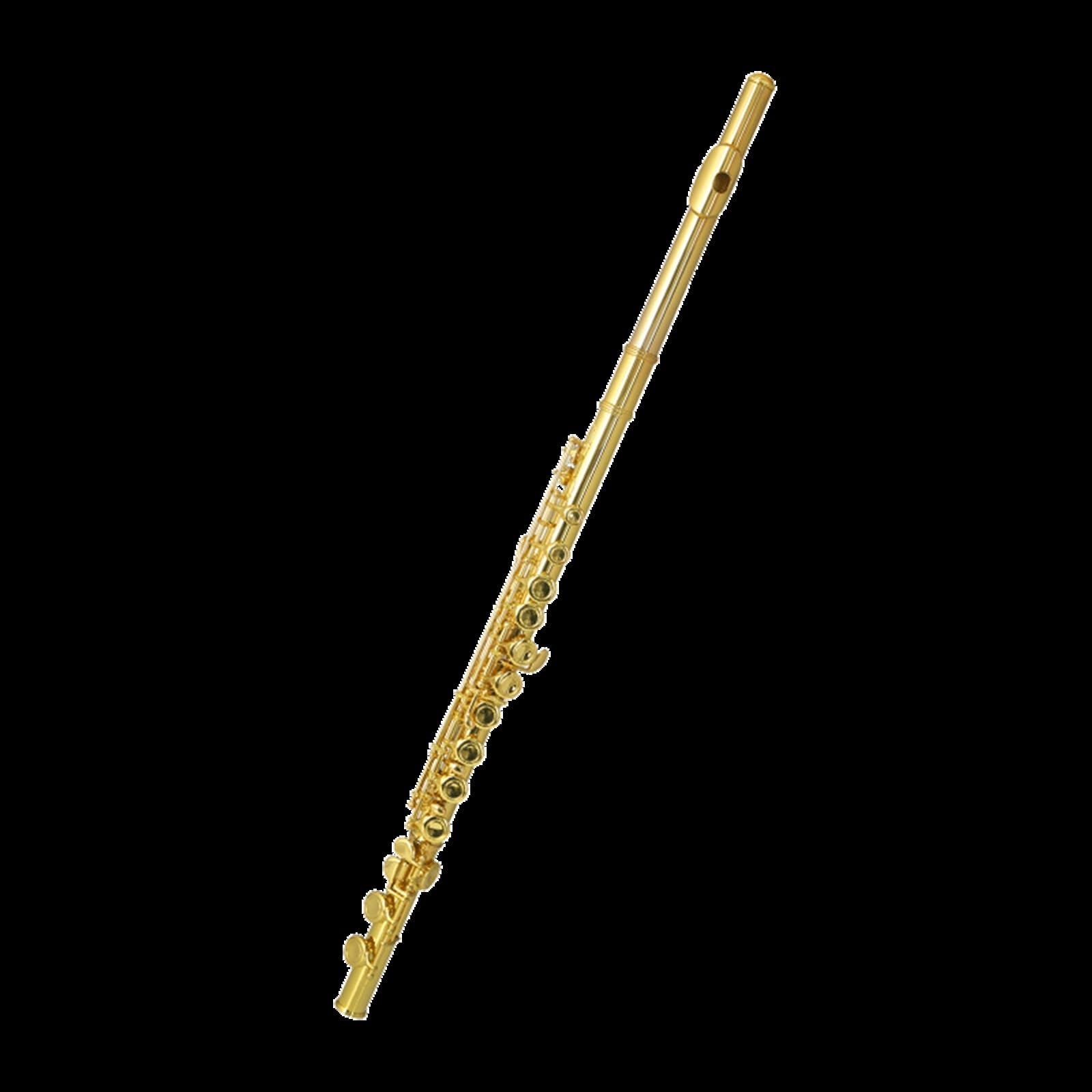Flûte Flûte À 16 Trous Fermés Et 17 Trous Ouverts Instrument Professionnel Pour Débutant Clé En C Durable Standard(16 Closedcell)