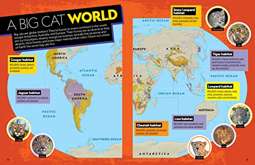 The Ultimate Book of Big Cats: Your guide to the secret lives of these fierce, fabulous felines (National Geographic Kids) - Image 4
