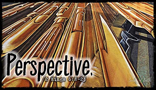 Amazon Perspective 2 Kings 6 8 23 amazon-perspective-2-kings-6-8-23