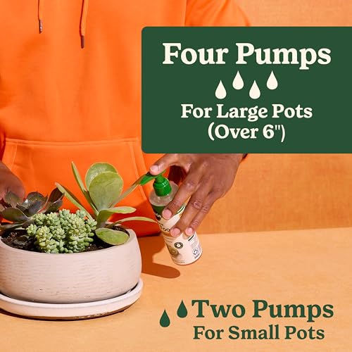 Miracle-Gro alimento líquido para cactus y suculentas 3 pack miniatura 6