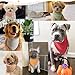 BlissBud Soft Cotton Pet Scarf with Adjustable Button - Solid Color Dog Bandanas,Navy,Large