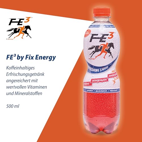 FE³ by Fix Energy im Vorratspack (6 x 500ml) – Johannisbeer-Geschmack, mit Koffein, D-Ribose, Mineralien, Vitaminen & Aminosäuren – Erfrischend für Sport, Freizeit & Business