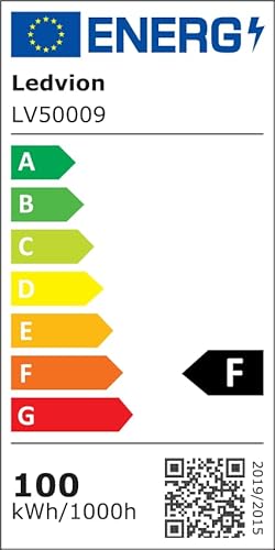Ledvion LED Strahler, 100 Watt LED Fluter, 4000K Scheinwerfer, 12000 Lumen Arbeitsbeleuchtung, Außenstrahler IP65 Wasserdicht, Flutlicht mit Schnellanschluss