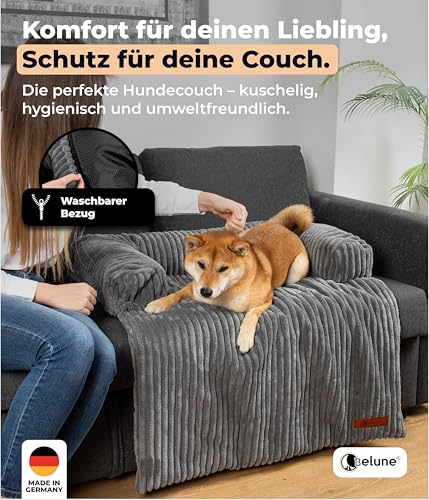 Belune Hundecouch Deluxe - waschbar [Dunkelgrau, S - 80cm x 75cm] Hundebett Plüsch, Hundecouch, Sofaschutz kleine & Mittelgroße Hunde