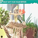 6PCs Natural Bird Chewing Shredding Foraging Toys, Bird Swing Toy with Bird Perch for Cockatiels, Parrotlets, Cockatiels, Conures, Parakeets, Budgies, Love Birds and More - Image 5