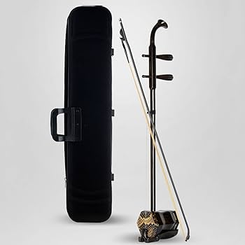 二胡 本物 初心者向け プロの胡琴 伝統的な楽器 赤字覚悟!二胡 本体 楽器 初心者セット 弦 弓 中国