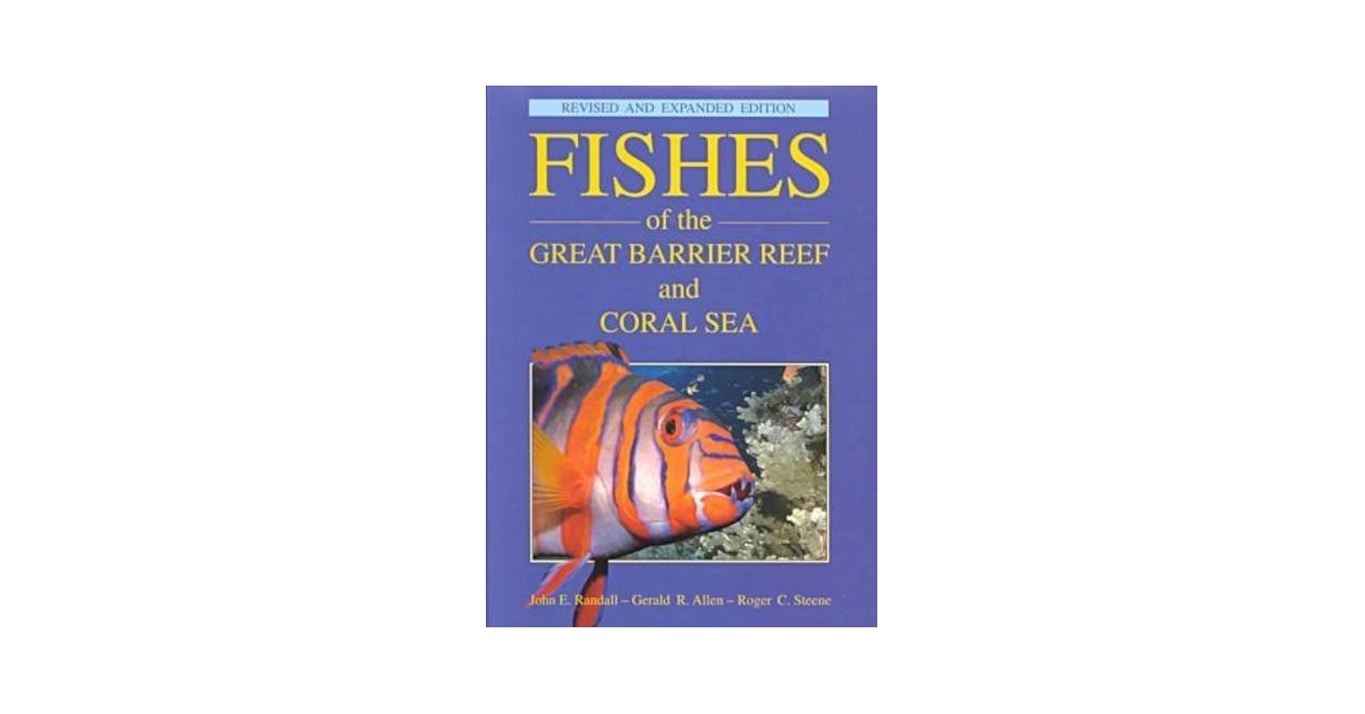 洋書　FISHES GREAT BARRIER REEF CORAL SEA 51Gi9J9pa3L.jpg_BO30,255,255,