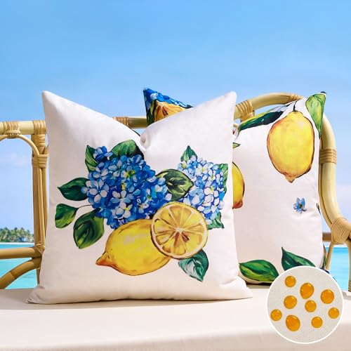 BonBotimen Cushion Cover 50x50 cm Lemon Throw Pillow Covers Waterproof Outdoor Couch Cover Spring Summer Decorative for Sofa, Garden, Balcony, Bed and Living Room, Set of 2