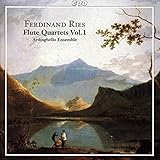 Kammermusik Für Flöte und Streichtrio Vol.1