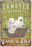 ACDOET Décoration murale en aluminium avec motif chiot samoyède, blanchisserie - 20,3 x 30,5 cm