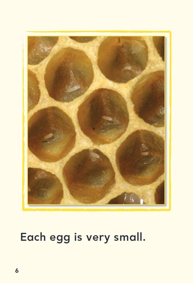 A Bee's Life (TIME FOR KIDS(r) Nonfiction Readers) - Image 6