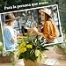 Velas Aromáticas Regalos Originales Para Mujer Imagen de Velas Aromáticas Regalos Originales Para Mujer