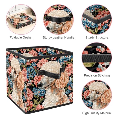 Boîte de rangement caniche pour organiser les vêtements