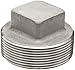 Stainless Steel 316 Pipe Fitting, Square Head Plug, Class 1000, 3/4" NPT Male