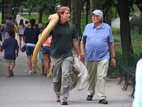 New York: Fossil Hunter New York: Fossil Hunter