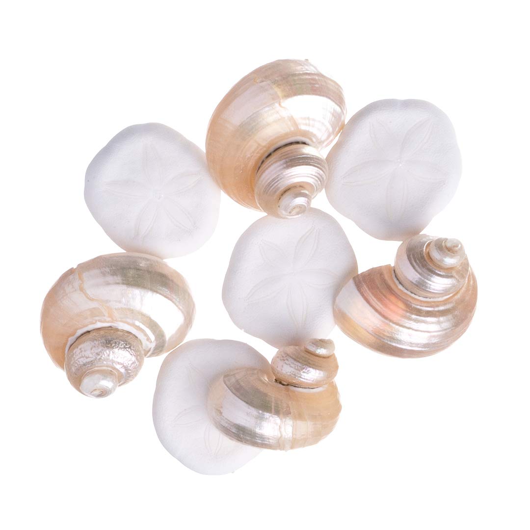 30 Stelle Marine Bianche Naturali Imperfette 5-13 Cm Per Artigianato E Decorazione – Nautical Crush