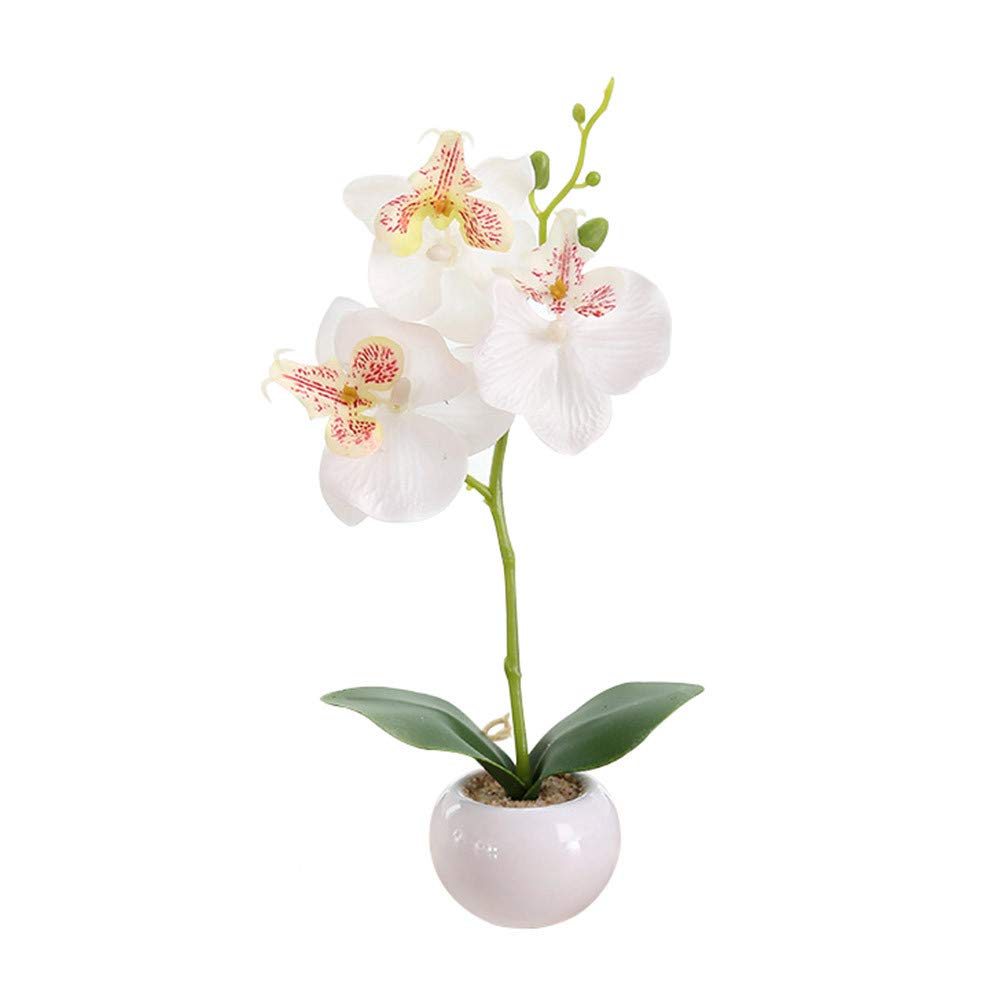 Caritierily Sympathy Artificial Cemetery Flowers Simulated Bonsai Indoor Butterfly Orchid Bonsai Plants Elegance Tranquilit (White, One Size)