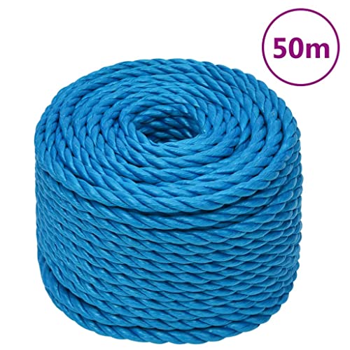 vidaXL Arbeitsseil Bodenarbeitsseil Arbeitsleine Mehrzweckleine Seil Bootsleine Allzweckseil Schnur Tau Leine Gedreht Blau 10mm 50m Polypropylen