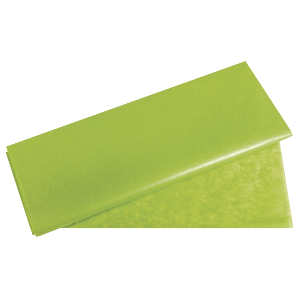 Rayher Hauser Light Green 67270417 Tissue Paper,