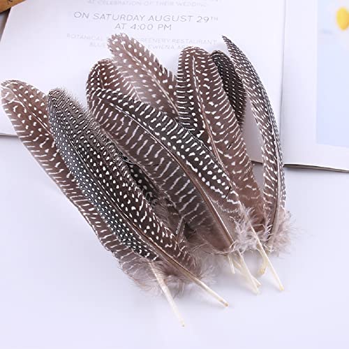 5 Pcs 15-20Cm Natural Polka Dot Guinea Fowl Wing Feathers Pheasant Feathers For Diy Crafts Decoration Collection Wedding Party Home Decorations #TOP3