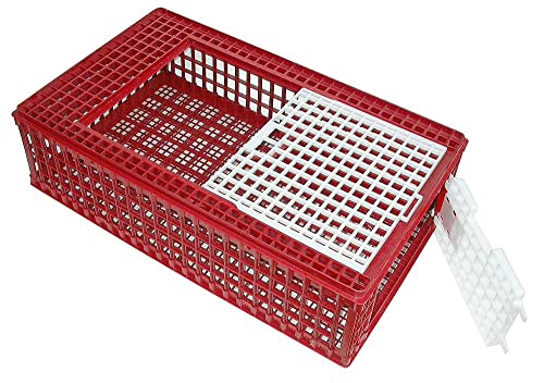 Kerbl 73100 Geflügel-Transportbox PVC