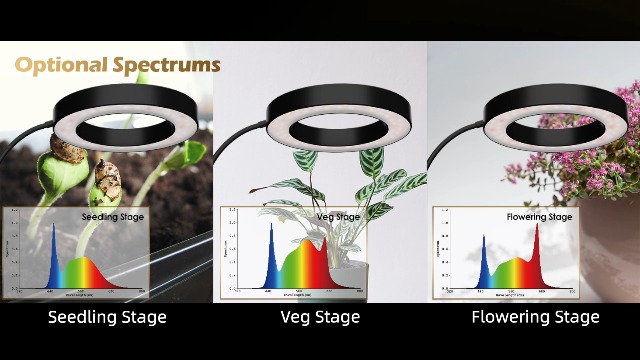 Image of GLOWRIUM Grow Lights for Indoor Plants,Full Spectrum Plant Light with Stand